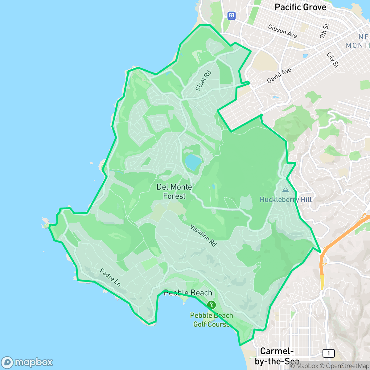 Map showing the location of Del Monte Forest, CA — coverage area